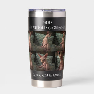 Gourde Isotherme Style de bouteille d'eau personnalisée : Paruline