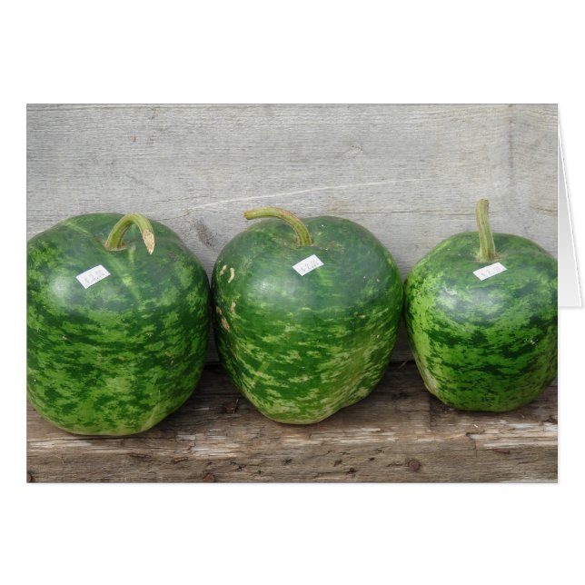 Gourdes dans une ligne (Devant horizontal)