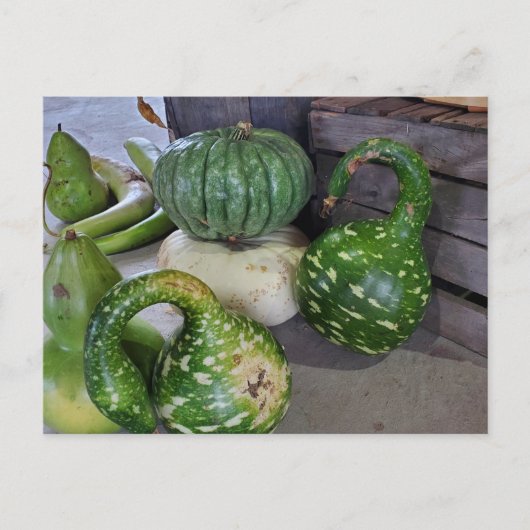 Gourds Briefkaart (Voorkant)