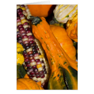Gourds en Corn Herfst Fotografie Blank-Inside Kaar