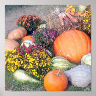 Gourds en pompoenen poster
