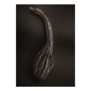 Gourds nr. 9 foto afdruk