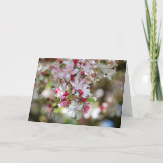 goutte de carte blanche beauté