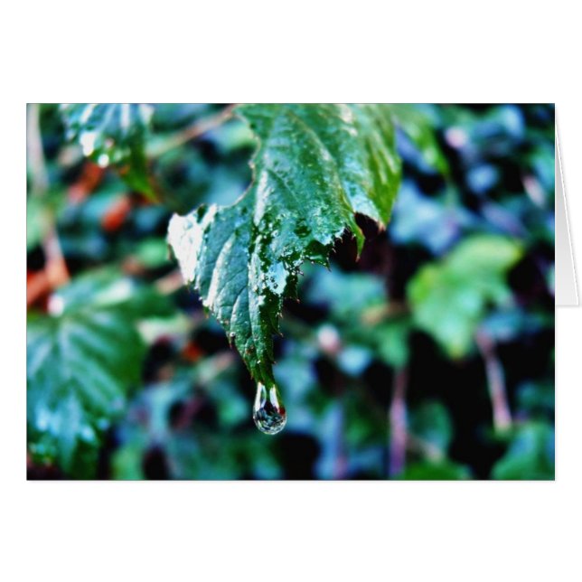 Goutte De Pluie (Devant horizontal)