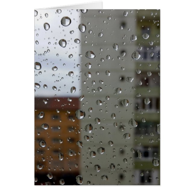 Gouttes de pluie (Devant)