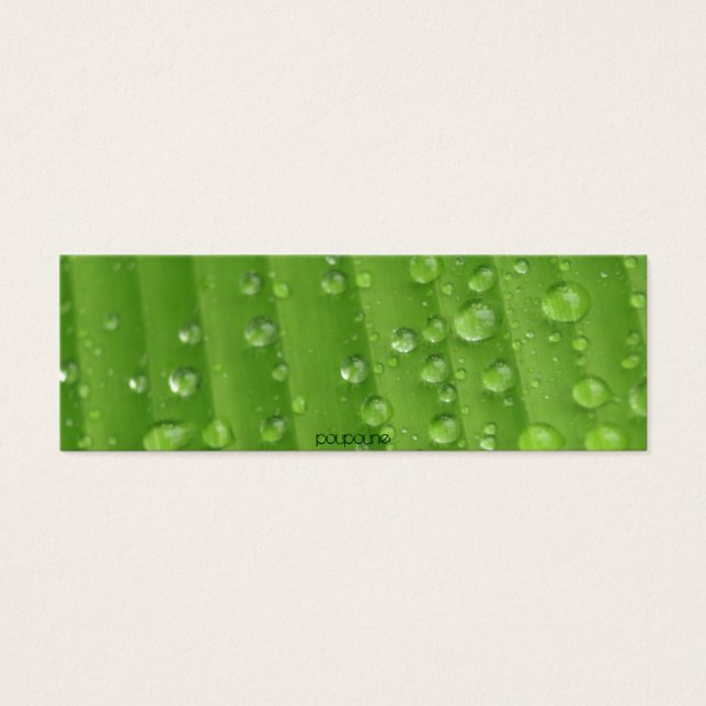 gouttes de pluie (Devant)