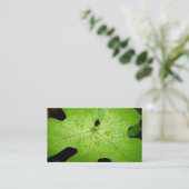 Gouttes de pluie sur le carte de visite de feuille (Debout devant)