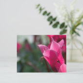 gouttes de rosée sur carte postale de fleur (Debout devant)