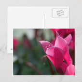 gouttes de rosée sur carte postale de fleur (Devant / Derrière)