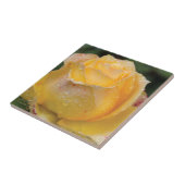 Gouttes de rosée sur le rose jaune - carreau de (Côté)