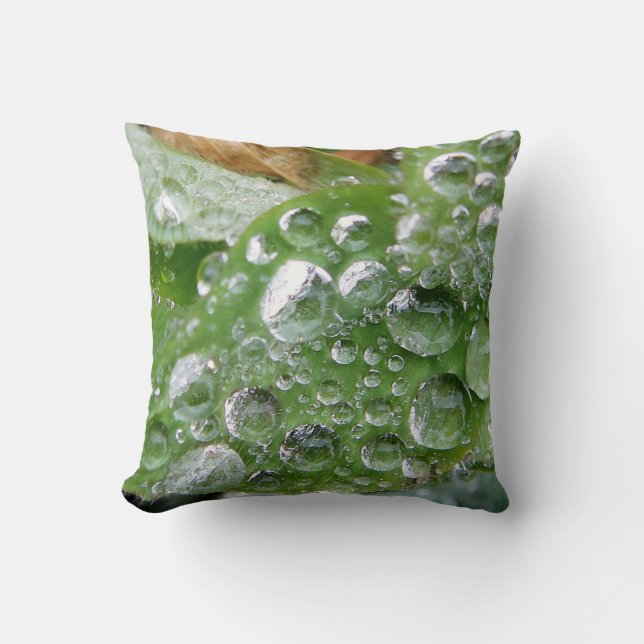 gouttes d'eau cool coussins (Recto)
