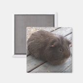 GP-magneet Magneet (Voorkant / Achterkant)