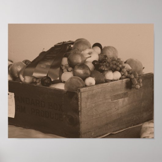 graafschap Fair Blue Ribbon First Prize Fruit in S Poster (Voorkant)