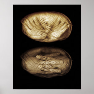 Graanhanden 2013 poster