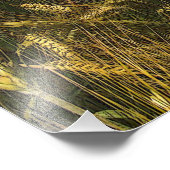 Graanveld Foto Afdruk (Hoek)