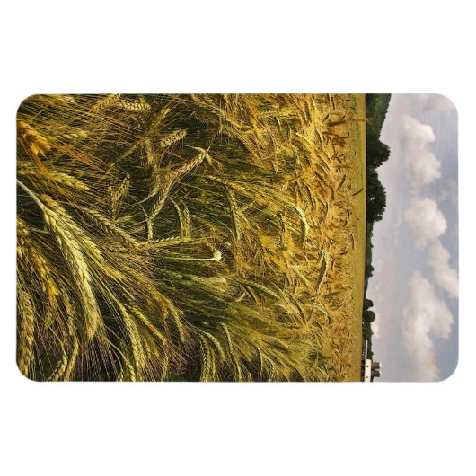 Graanveld Magneet (Horizontaal)