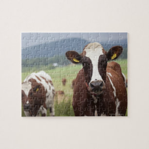 Graaskoeien Legpuzzel
