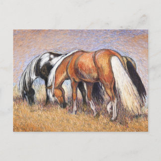 Graaspaarden Briefkaart