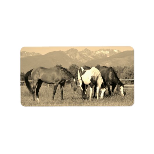 Graaspaarden in Montana Sepia Westerne stijl Etiket (Voorkant)