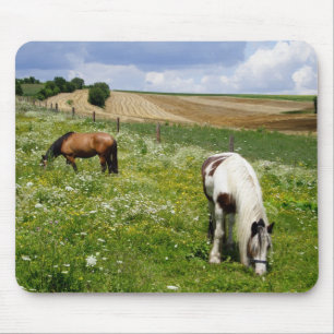 Graaspaarden Muismat