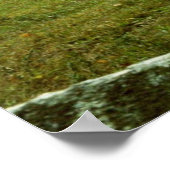 Graaspaarden Poster (Hoek)