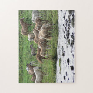 Graaspaarden puzzel