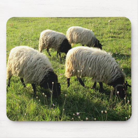Graasschaap Muismat (Voorkant)