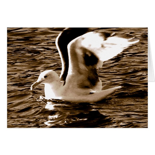 Grace_ (Devant horizontal)