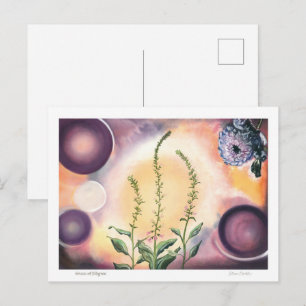Grâce de Filigrane - Carte postale