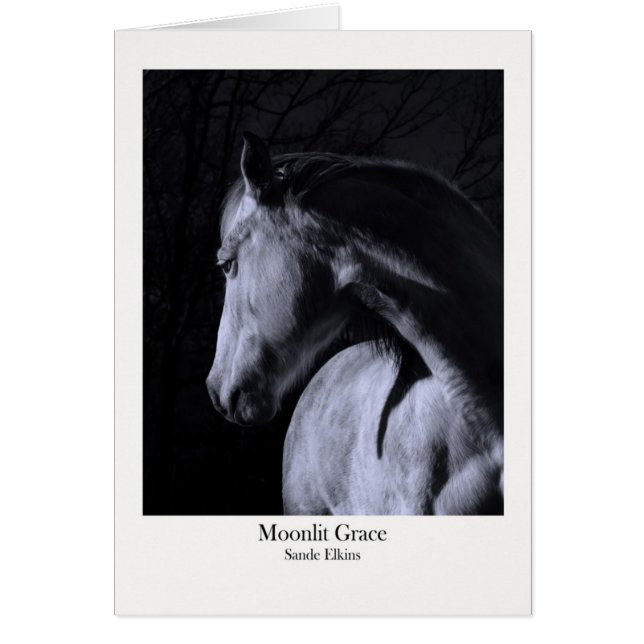 Grâce éclairée par la lune (Devant)