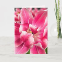 Grâce en chaque saison | Carte de vœux pliée Tulip
