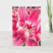 Grâce en chaque saison | Carte de vœux pliée Tulip