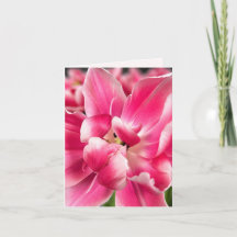 Grâce en chaque saison | Carte de vœux pliée Tulip