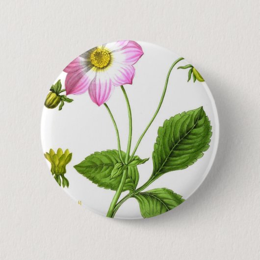 Grace Ronde Button 5,7 Cm (Voorkant)