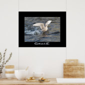 GRACE Zee-Gull Landing Photo Poster (Keuken)
