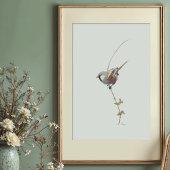 Graceful Bearded Reedling Waterverf Art Poster