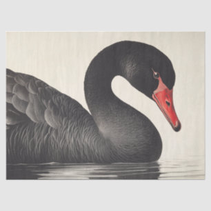 Graceful Black Swan in Ornithologie Decoupage Stij Tissuepapier