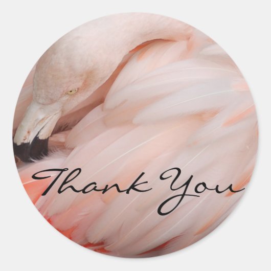 Graceful Flamingo dank u Ronde Sticker (Voorkant)