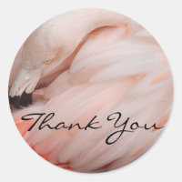 Graceful Flamingo dank u