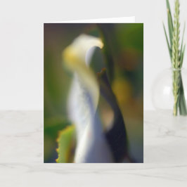 Graceful Floral Folded Blank Card Bedankkaart