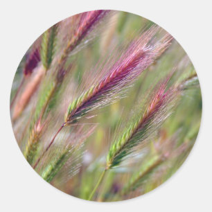 Graceful Foxtails Ronde Sticker