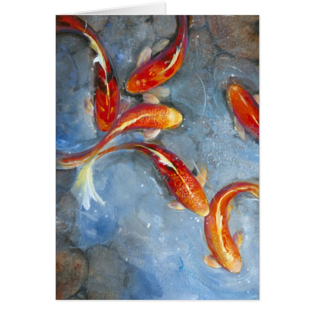 Graceful Koi II (Voorkant)