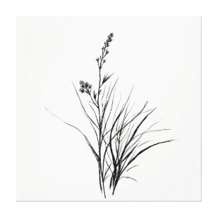 Graceful Monochrome Gedetailleerde Reeds Schetstek Canvas Afdruk