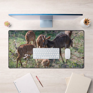 Graceful Nyala in African Grasslands Bureaumat