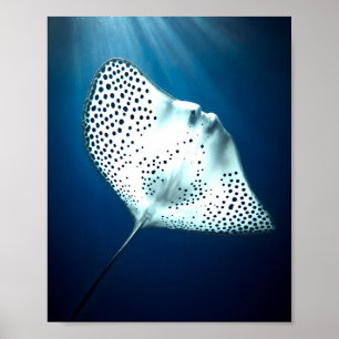 Graceful Spotted Ray: onderwater sereniteit Poster
