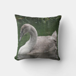 Graceful Swan op de waterloods Kussen