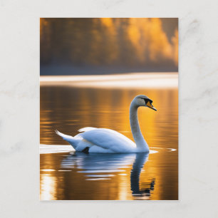 Graceful Swan op een meer Briefkaart