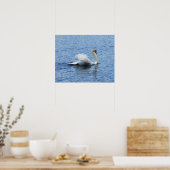 Graceful Swan Poster Print (Keuken)