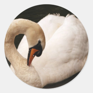 Graceful Swan Stickers