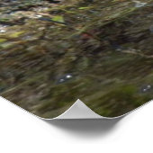 Graceful white Egret bird Poster (Hoek)